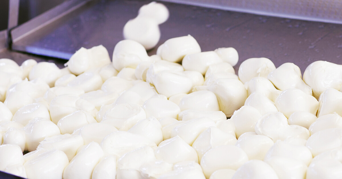 Caseificio Laziolatte - Mozzarella, Fiordilatte, Formaggi, Ricotta, Latticini